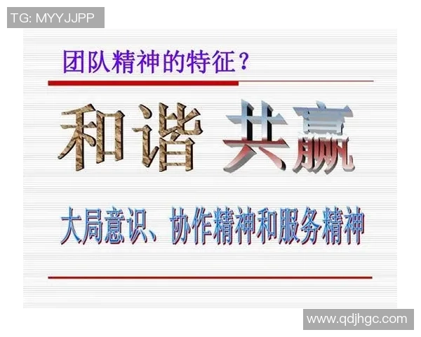 北京羽毛球队在世界锦标赛中的团队协作表现分析与点评