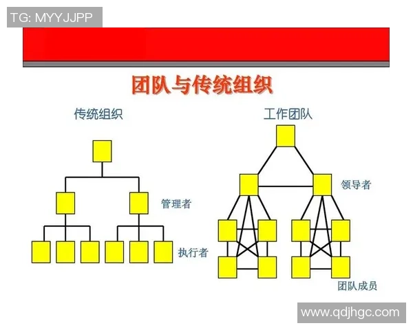 武汉羽毛球队团队协作表现的深度数据分析与研究探讨 武汉羽毛球队团队协作表现的深度数据分析与研究探讨