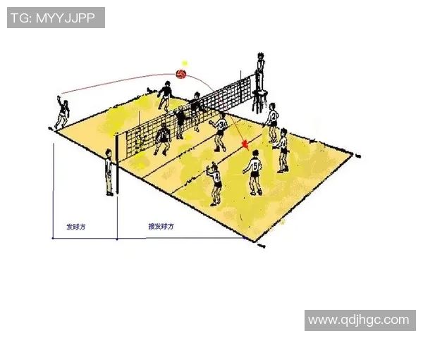 上海排球队中路突破战术解析与未来发展展望 上海排球队中路突破战术解析与未来发展展望