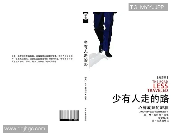 广州篮球队的成长之路：从挑战赛到辉煌成就的励志故事