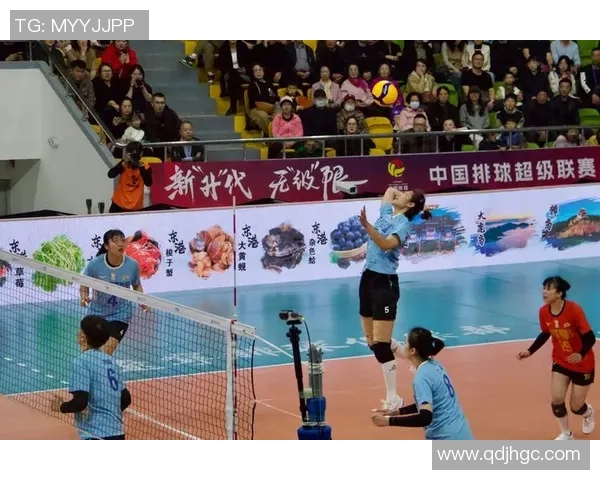 深圳排球队创新运营模式助力体育发展新篇章